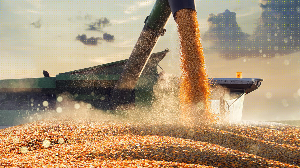 Prepping for Harvest Across the Regions