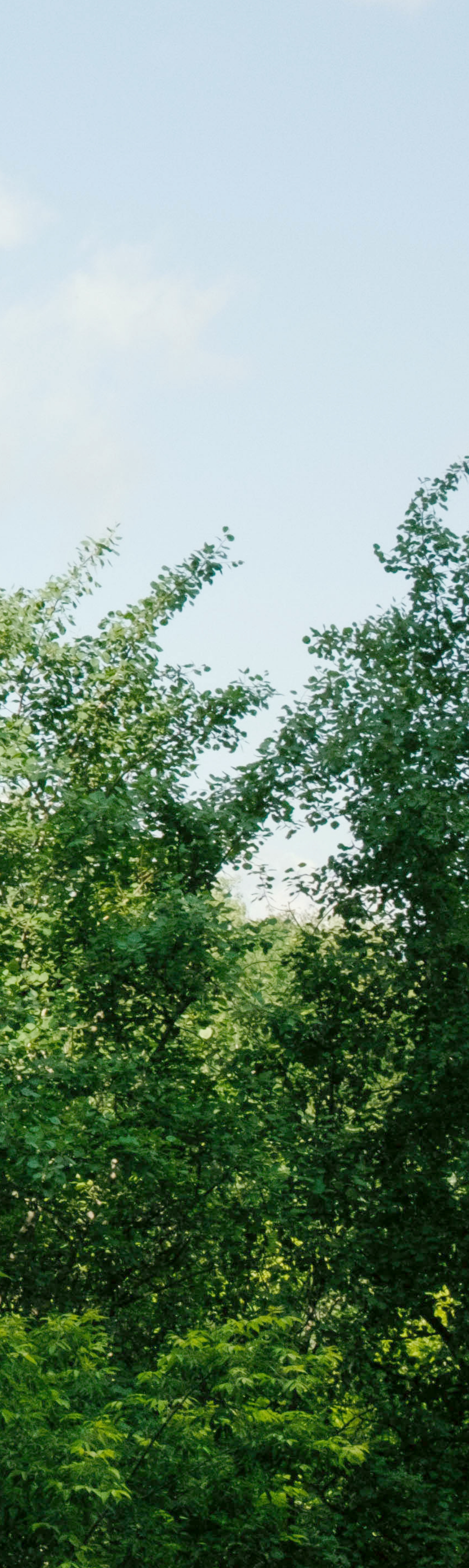 Nutrien field
