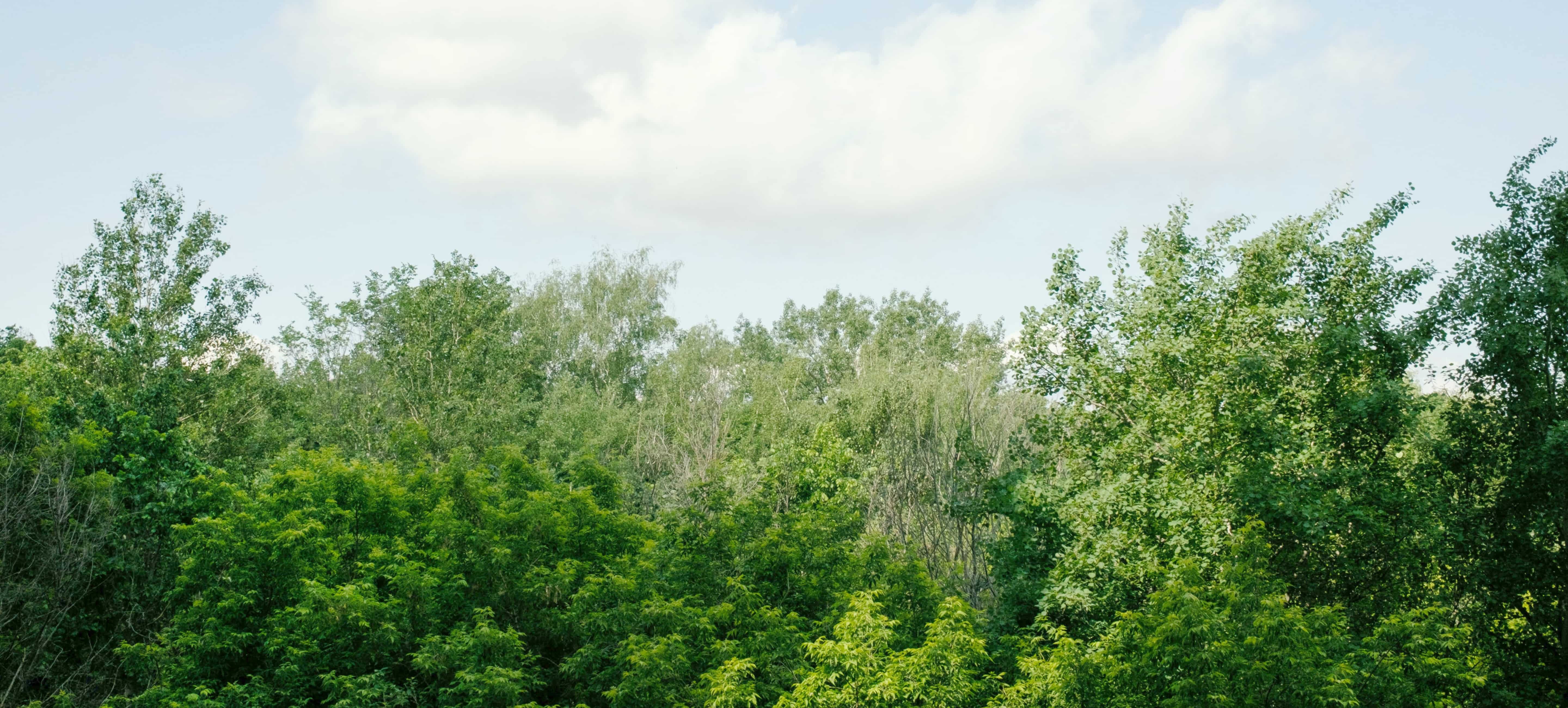Nutrien field